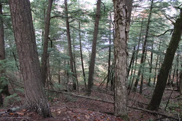 $199,000 | 735 Sandy River Road, Starks, ME 04911