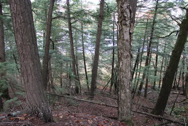 $215,000 | 735 Sandy River Road, Starks, ME 04911