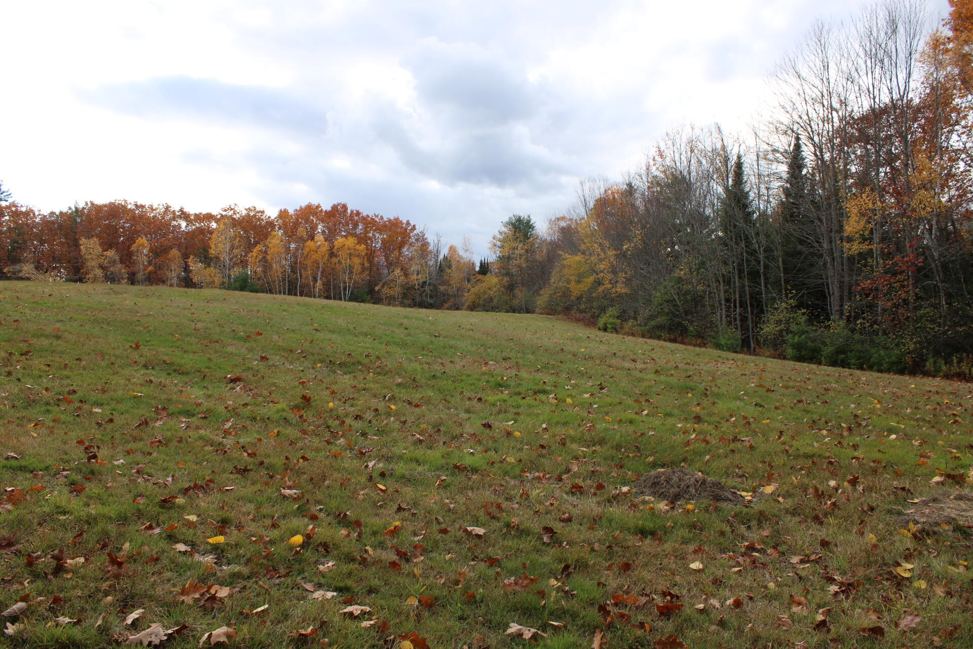 735 Sandy River Road Starks, ME 04911 - Photo 44 of 44 IMG_1793