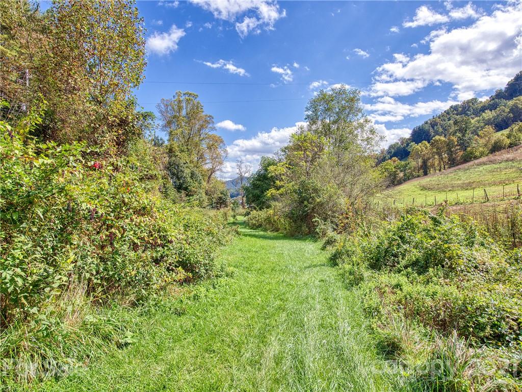 3900 Pigeon Road Waynesville, NC 28786 - Photo 5 of 20 Gallery Image 5