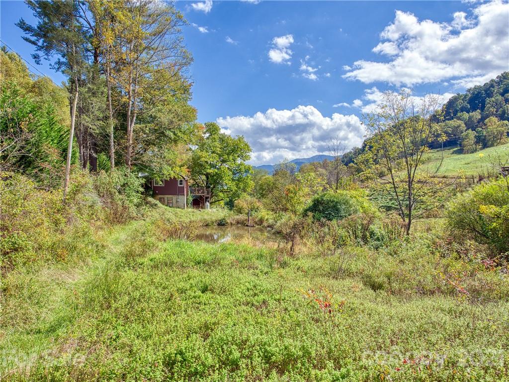 3900 Pigeon Road Waynesville, NC 28786 - Photo 6 of 20 Gallery Image 6