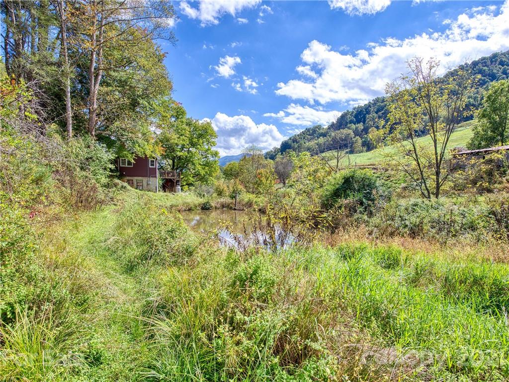 3900 Pigeon Road Waynesville, NC 28786 - Photo 7 of 20 Gallery Image 7