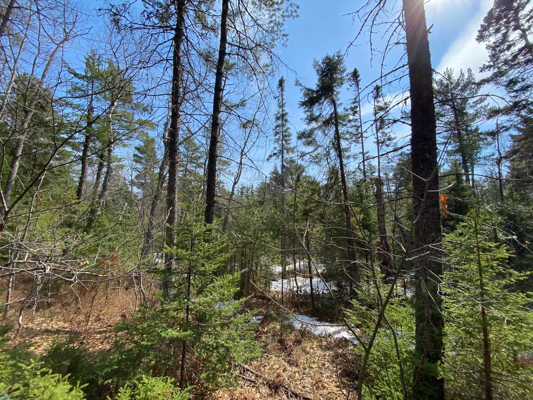 30928 West Cemetery Road Paradise, MI 49768 - Photo 8 of 21 Gallery Image 8