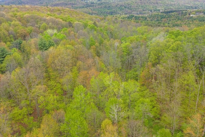 1049 Old State Road Kirkwood, NY 13904 - Photo 40 of 47