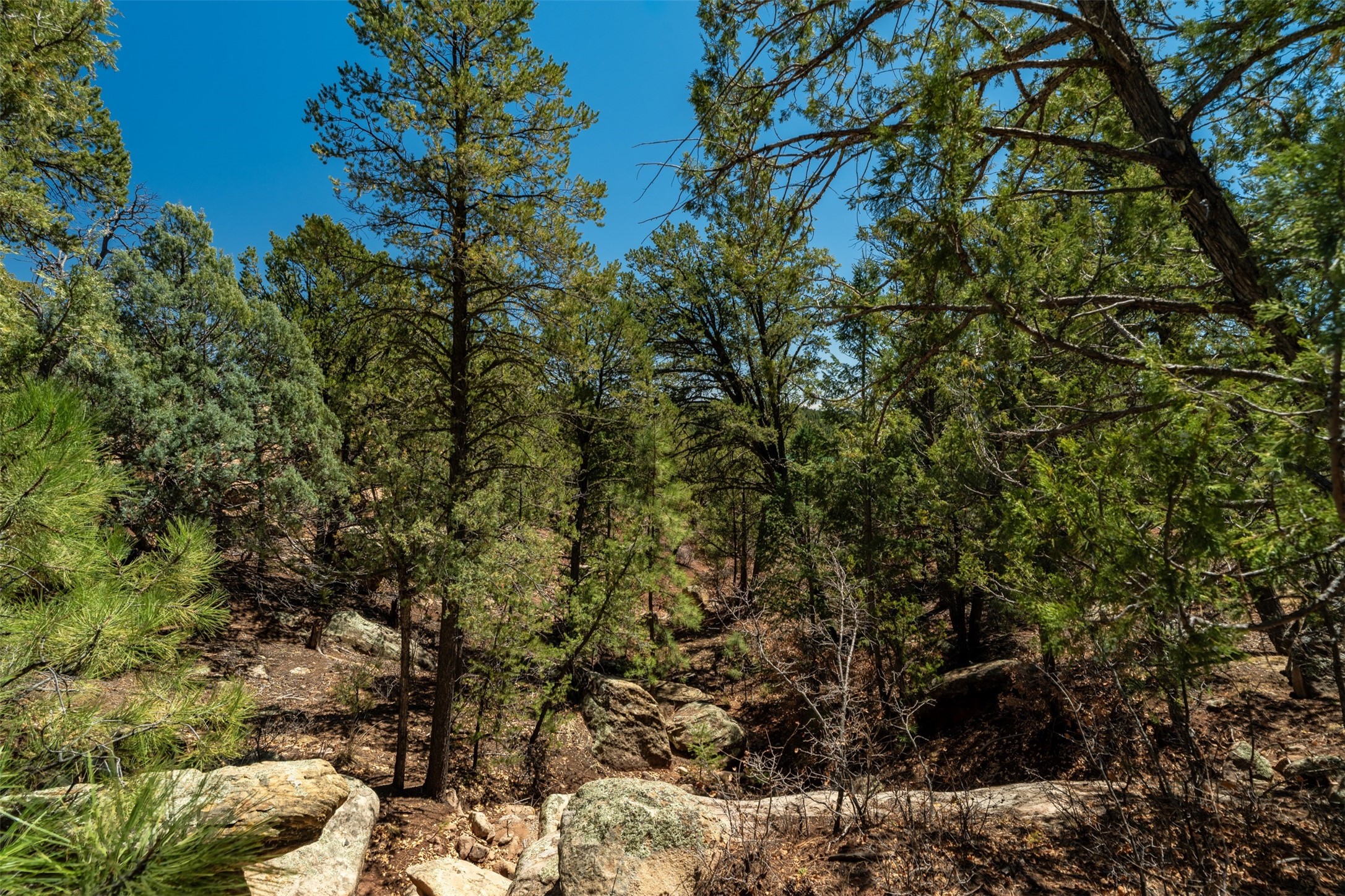 30 Monte La Cueva Road Glorieta, NM 87535 - Photo 80 of 91