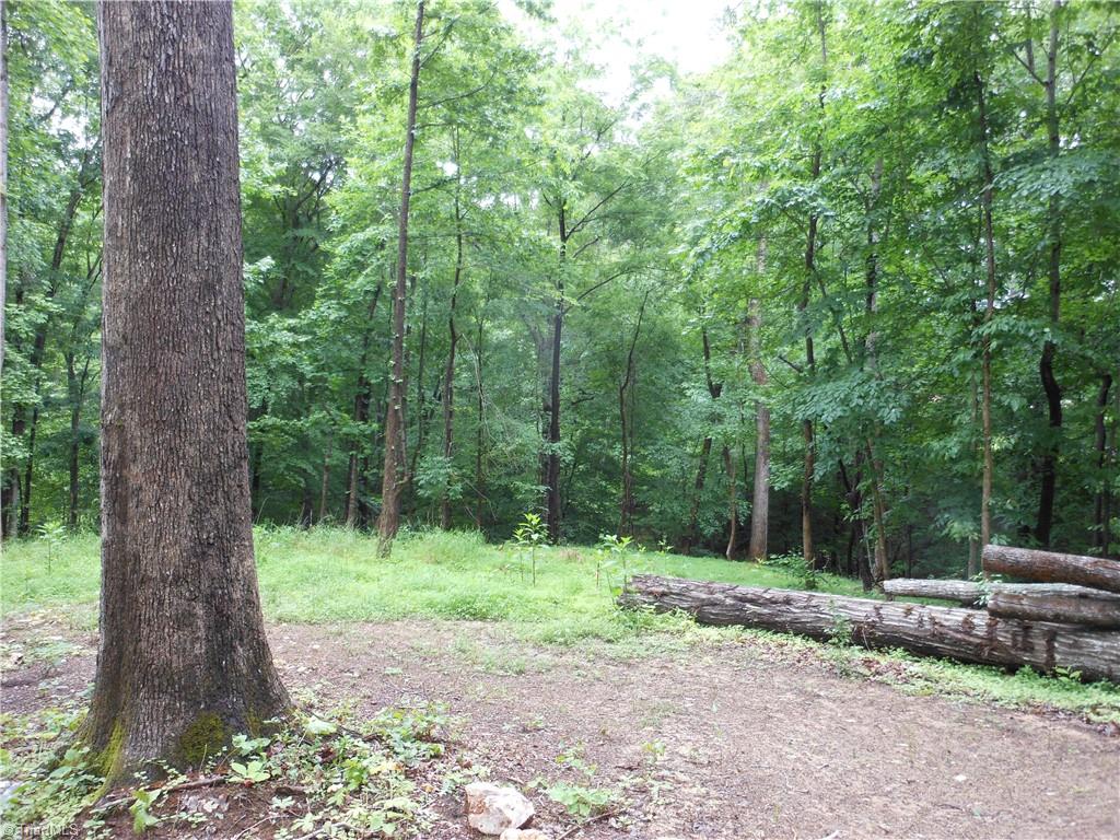 0 Mendenhall Road Archdale, NC 27263 - Photo 8 of 10 Gallery Image 8