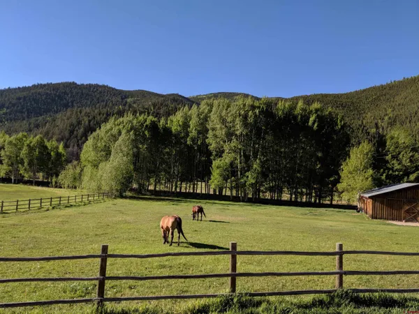 a view of a yard with an outdoor space