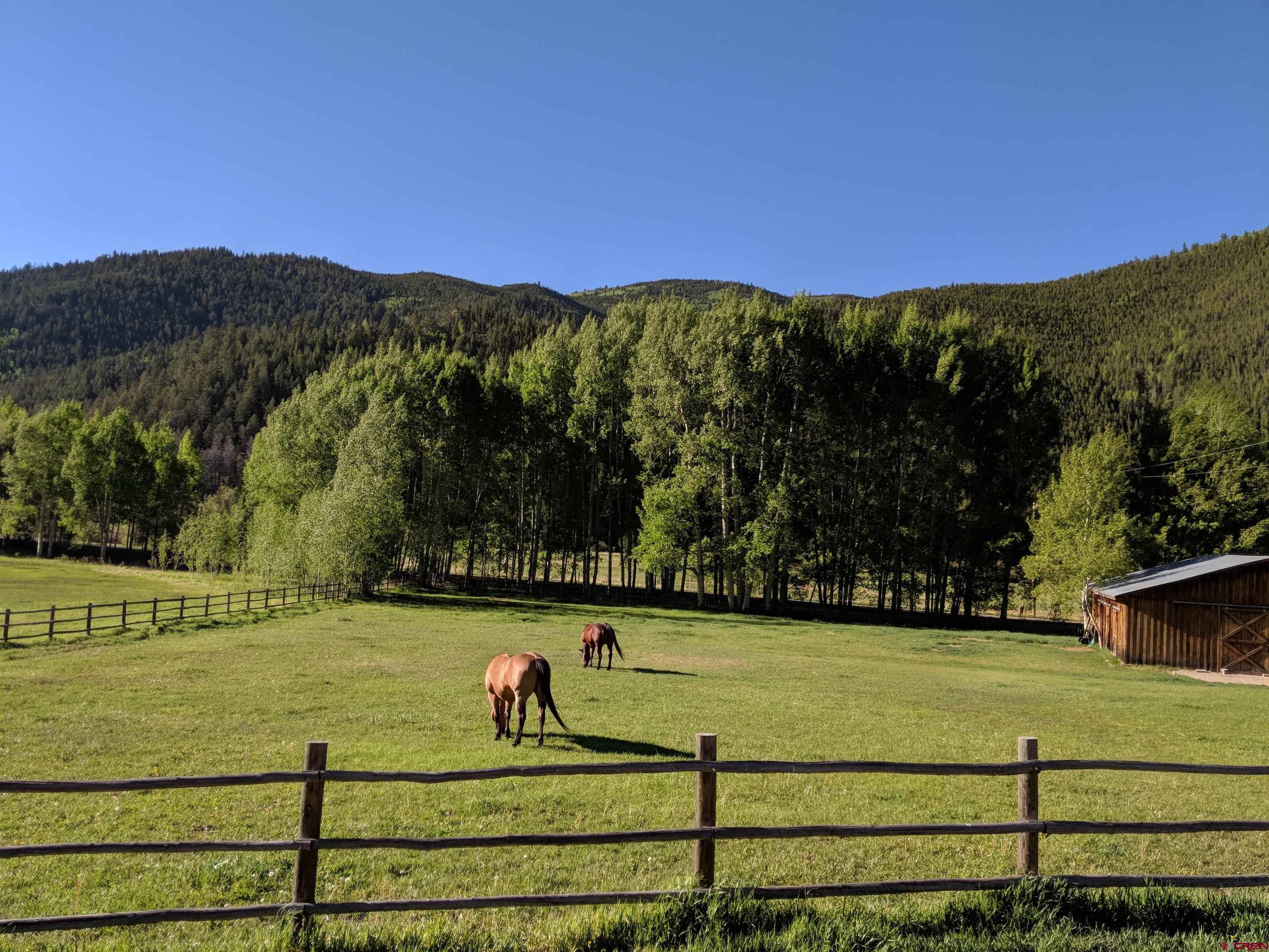9437 County Road 76 Ohio City, CO 81239 - Photo 22 of 29 a view of a yard with an outdoor space