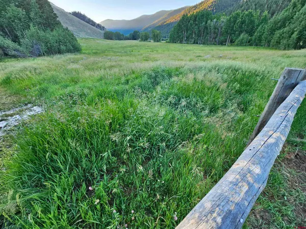 a view of an outdoor space and a yard