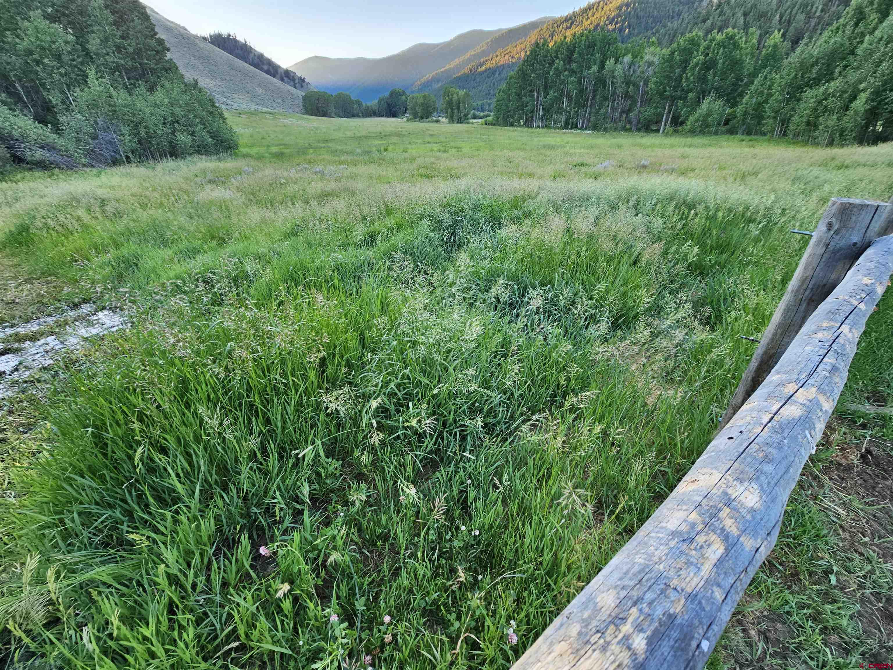9437 County Road 76 Ohio City, CO 81239 - Photo 23 of 29 a view of an outdoor space and a yard