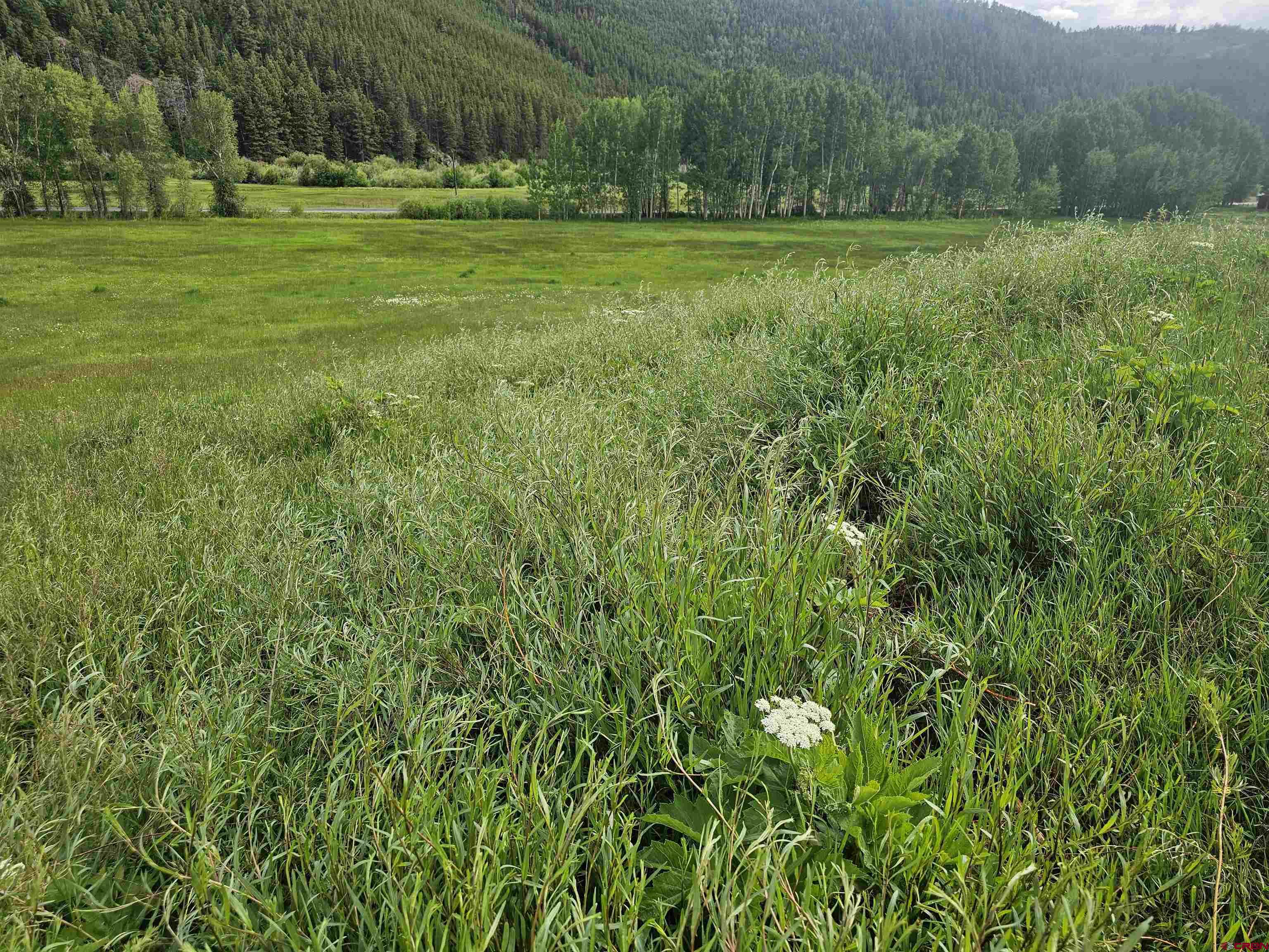 9437 County Road 76 Ohio City, CO 81239 - Photo 25 of 29 a view of a grassy field with trees