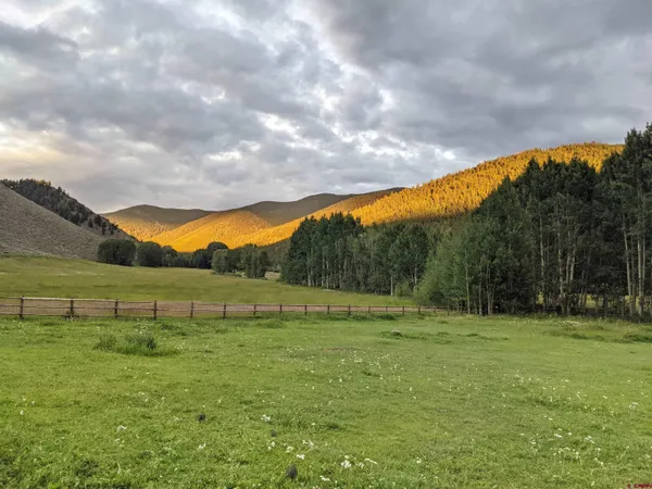 a view of a dry yard with a house
