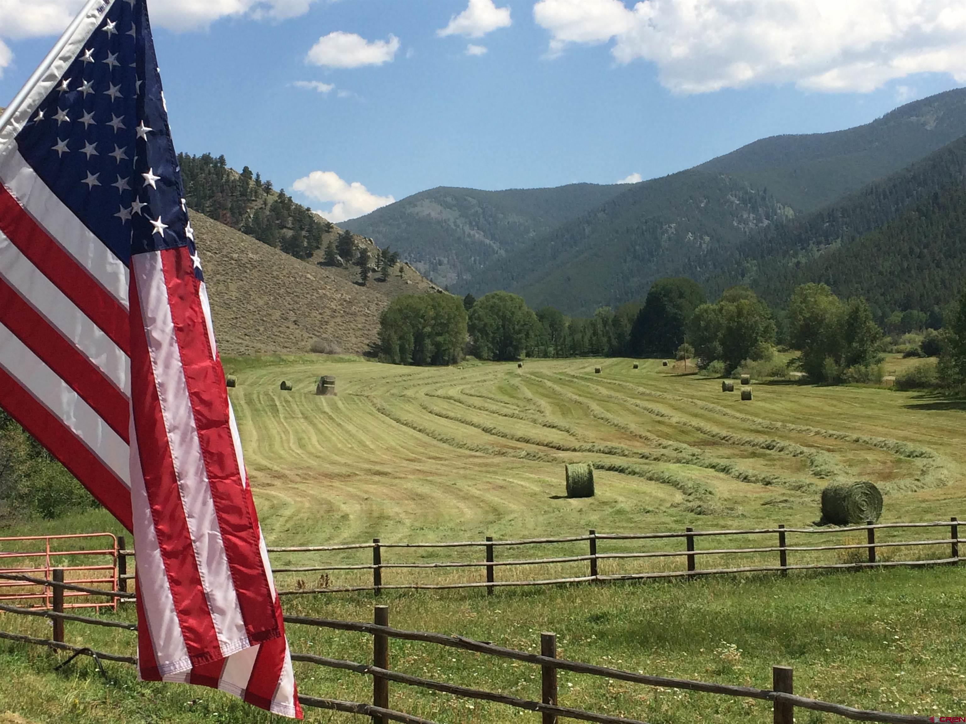 9437 County Road 76 Ohio City, CO 81239 - Photo 5 of 29 a view of a yard