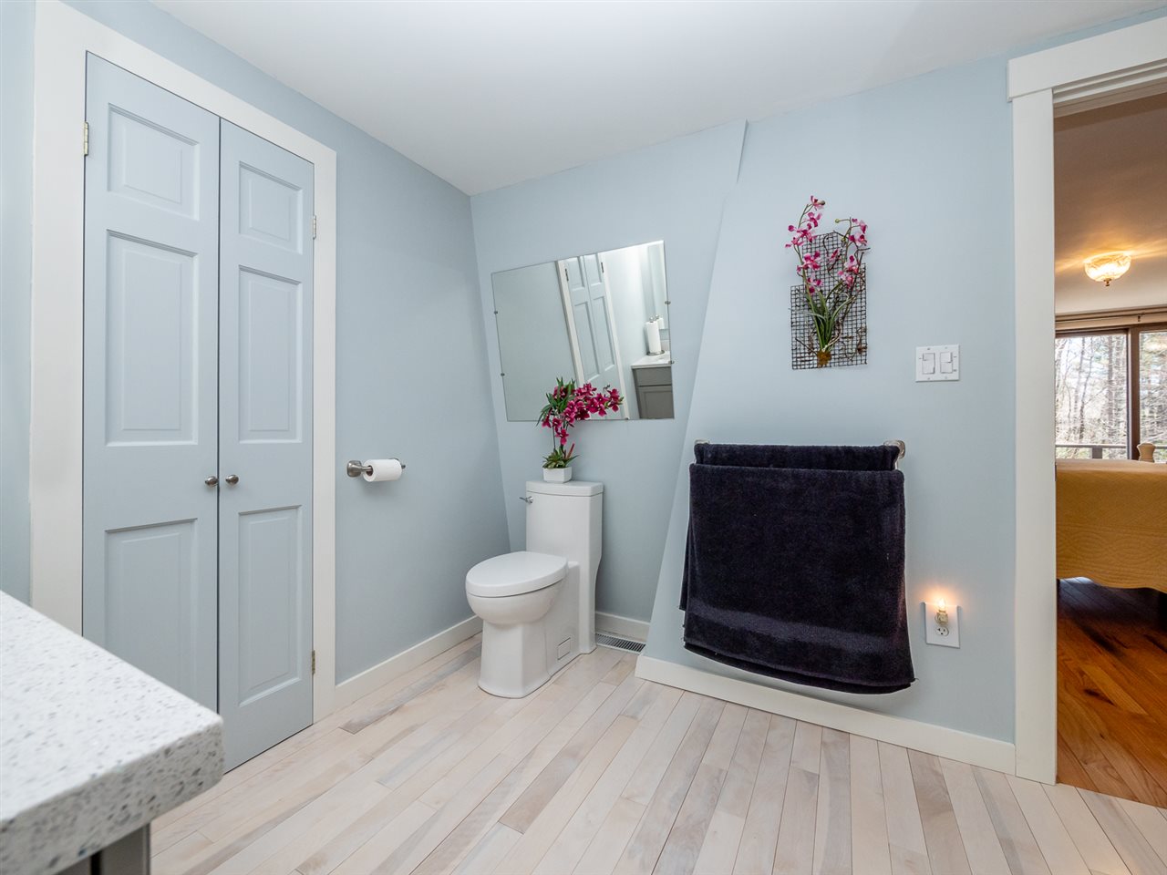 224 Little Niagara Road Strafford, NH 03884 - Photo 20 of 39