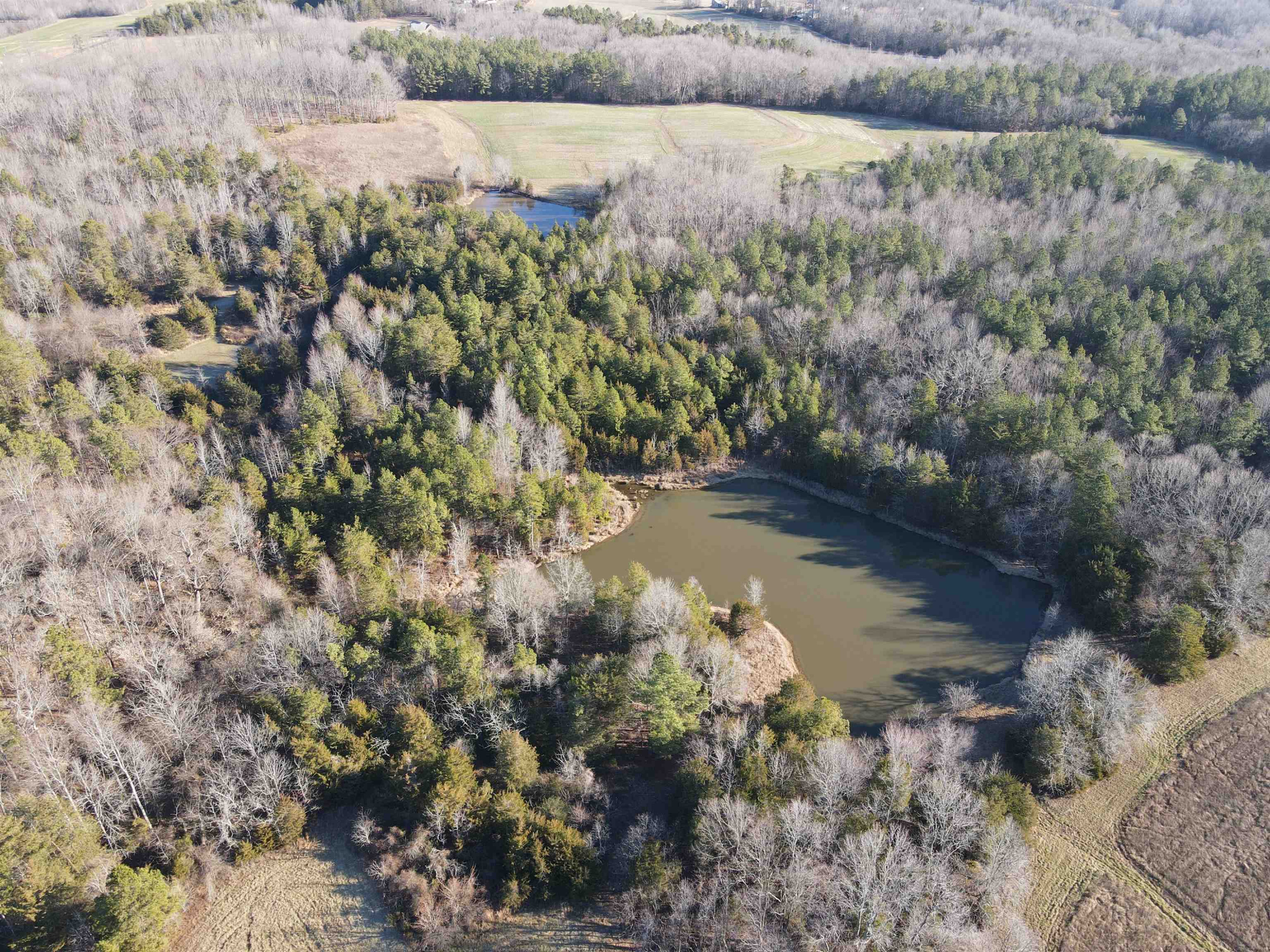 Carver Road Prospect Hill, NC 27314 - Photo 4 of 20 Photo 4