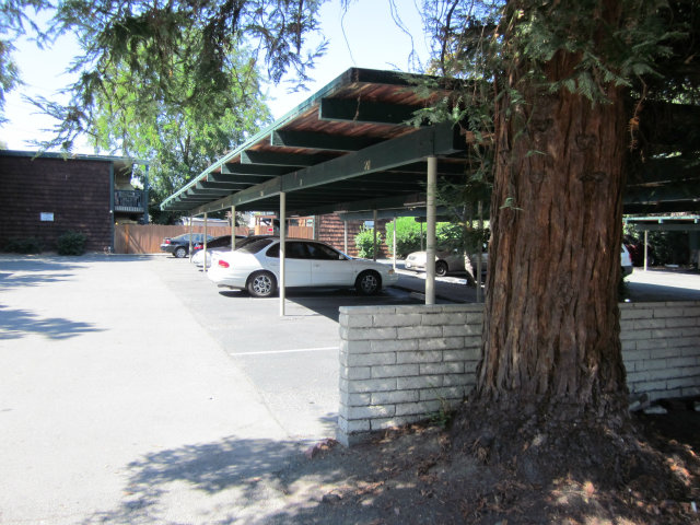 1701 Pine Street Concord, CA 94520 - Photo 14 of 15