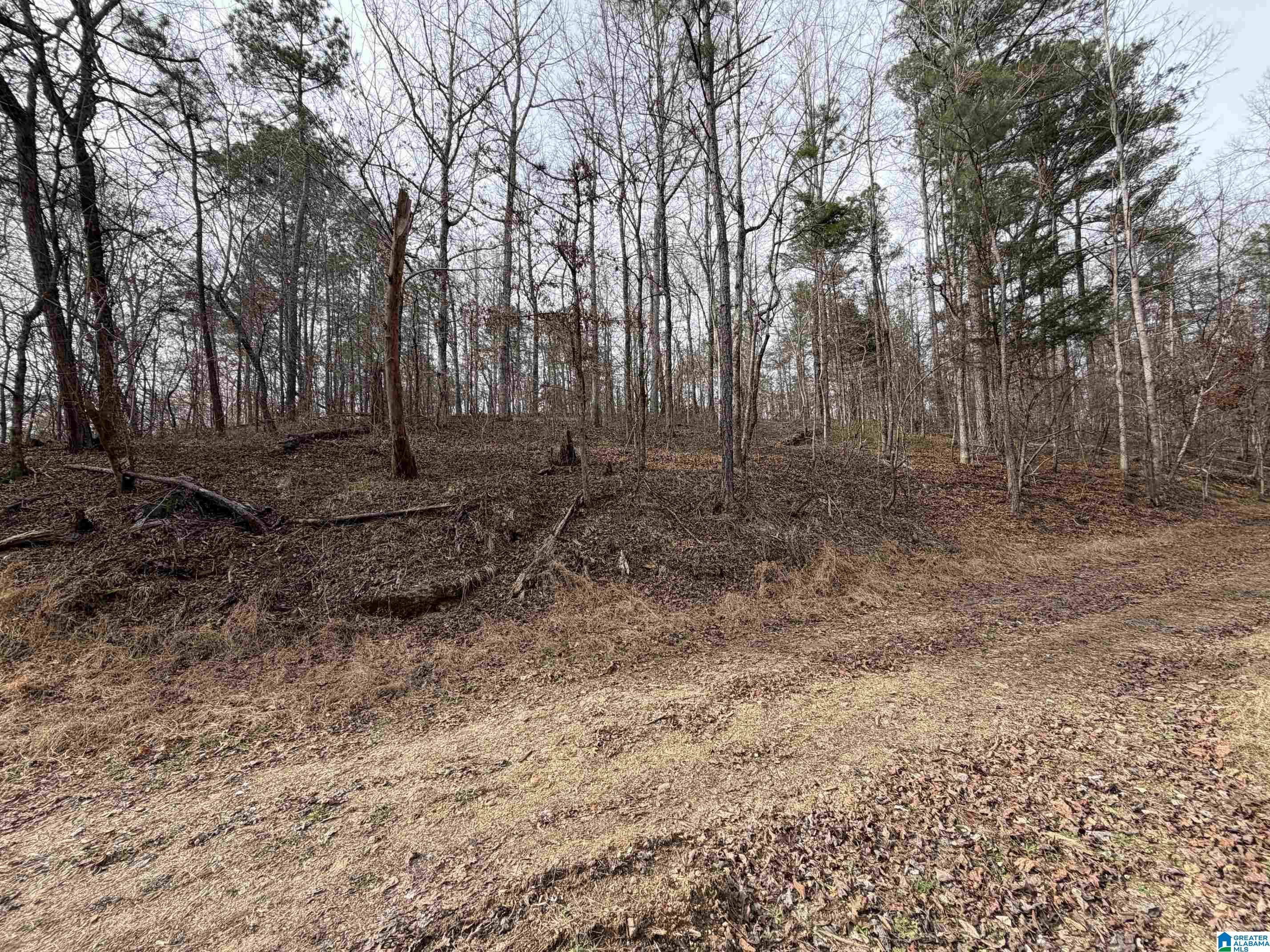 0 James Lake Road, Unit 1 Trussville, AL 35173 - Photo 5 of 18