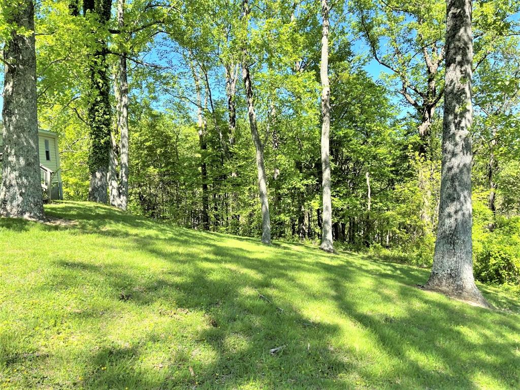 114 Dove Road Fancy Gap, VA 24328 - Photo 9 of 30 Gallery Image 9
