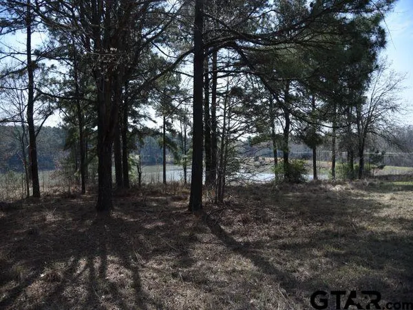 $199,900 | Lot 13 Acr 450, Montalba, TX 75853