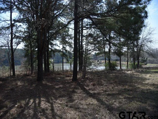 $199,900 | Lot 13 Acr 450, Montalba, TX 75853