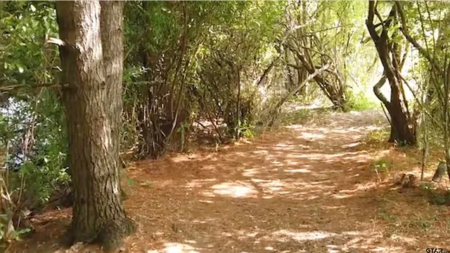 $199,900 | Lot 13 Acr 450, Montalba, TX 75853