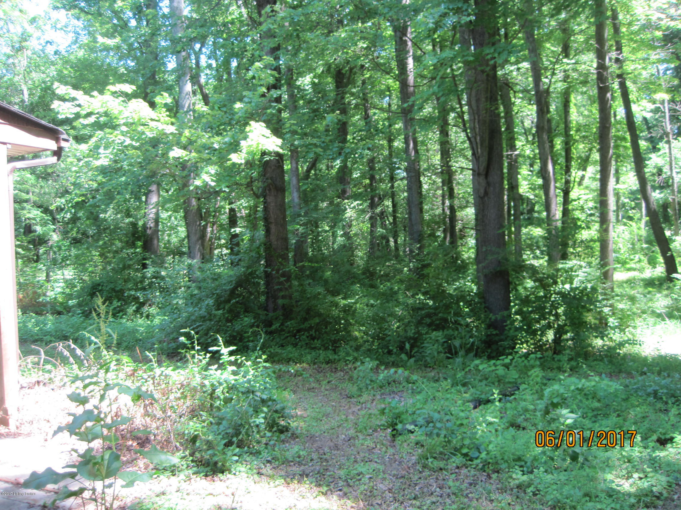 9701 Keys Ferry Road Fairdale, KY 40118 - Photo 9 of 10 IMG_2499