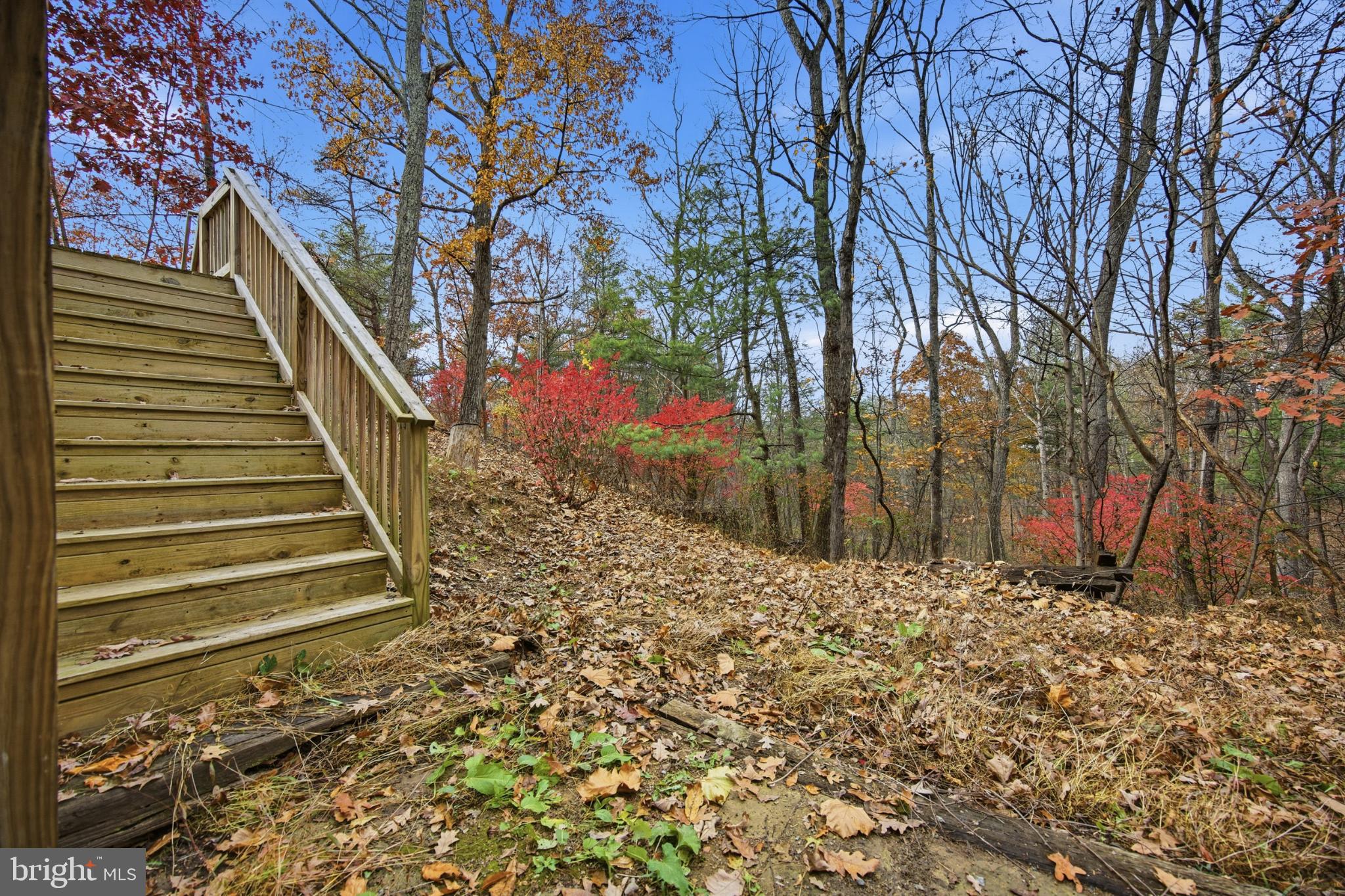 128 Hemlock Lane Gerrardstown, WV 25420 - Photo 33 of 44 a view of a yard with large trees