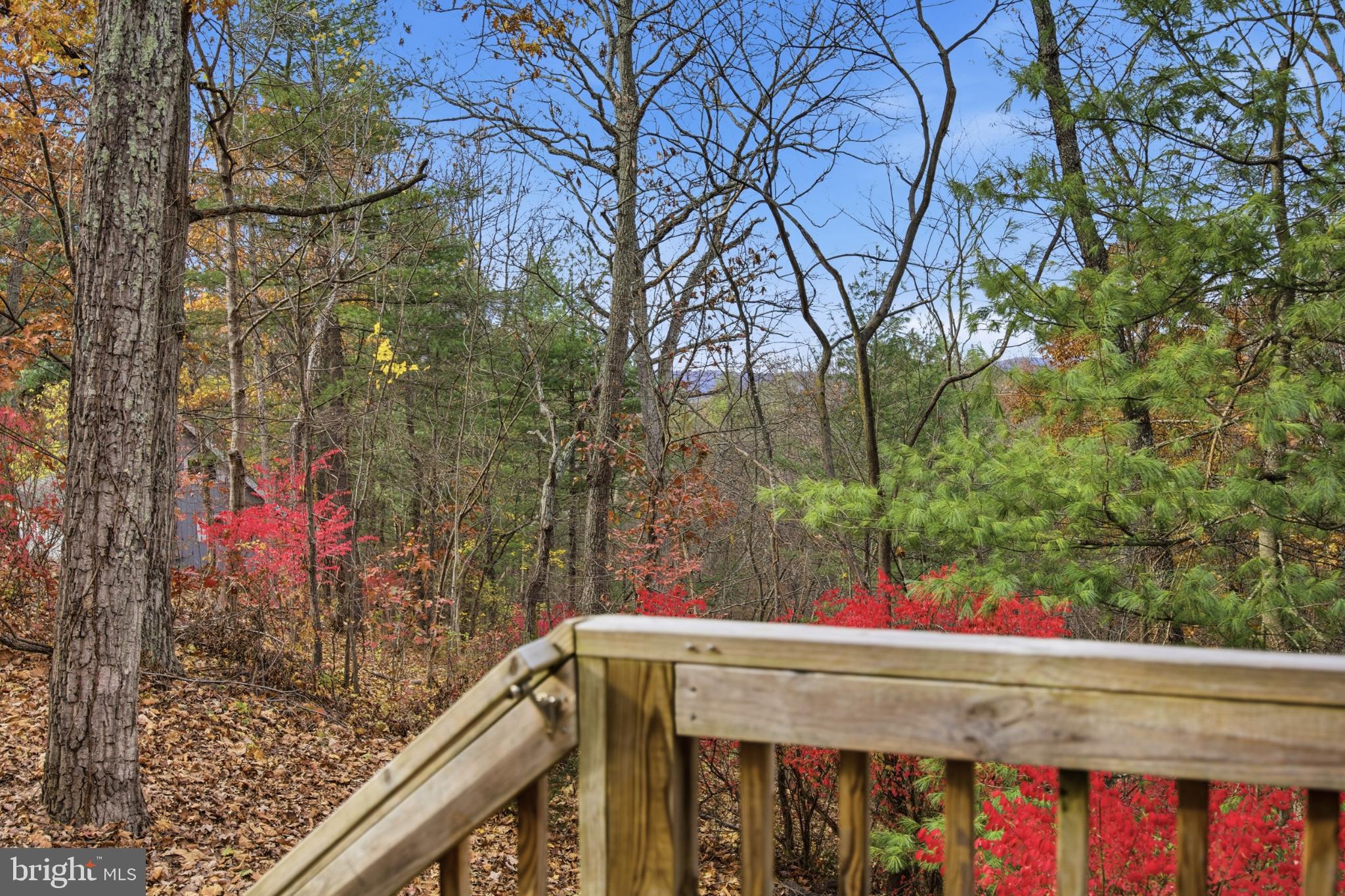 128 Hemlock Lane Gerrardstown, WV 25420 - Photo 39 of 44