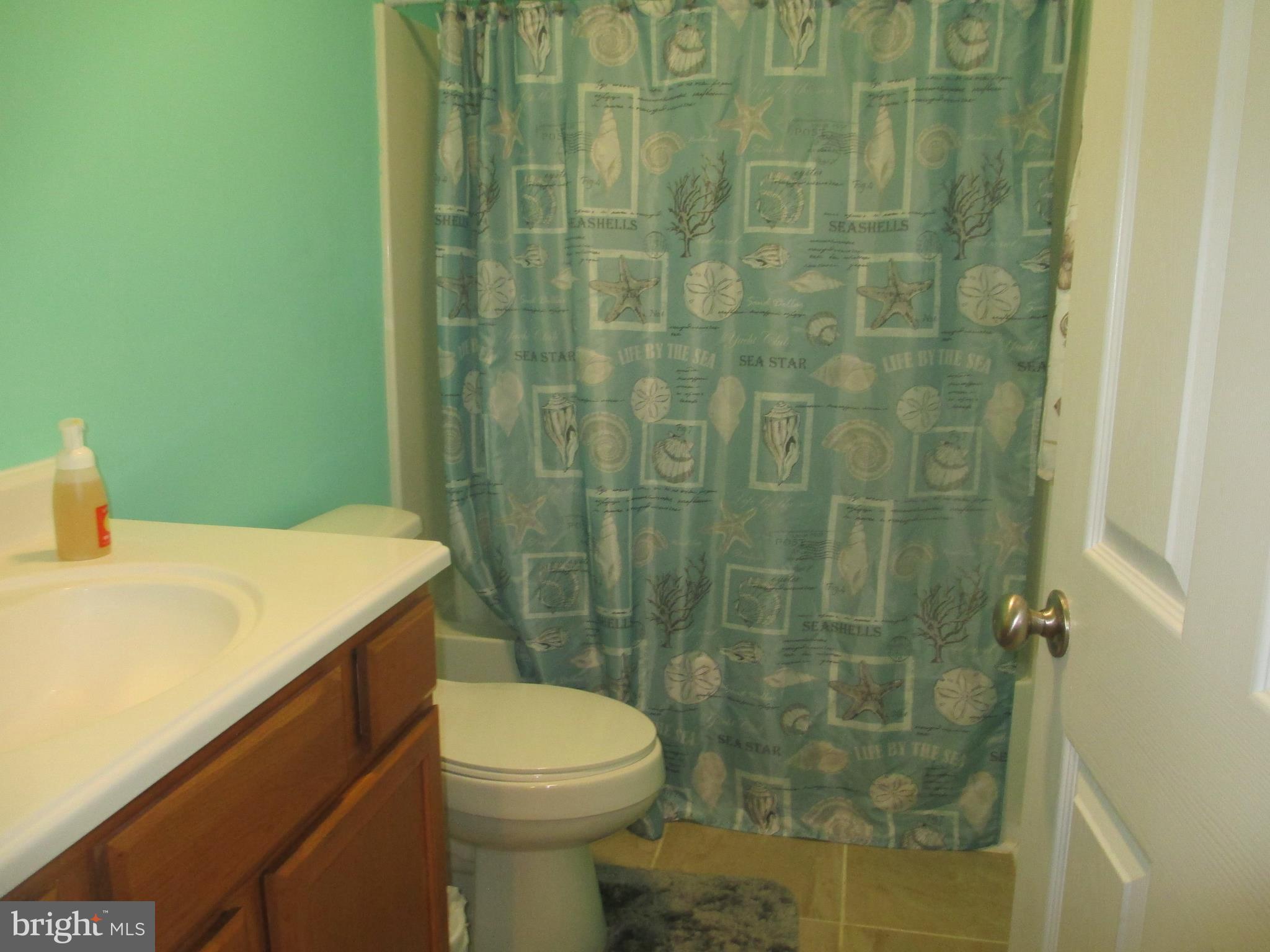 308 Caroline Avenue Ridgely, MD 21660 - Photo 7 of 16 Bath (Master)