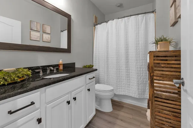 a bathroom with a sink a toilet and shower curtain