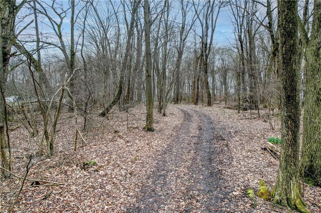 692 Mitchell Hill Road Greenville, PA 16125 - Photo 15 of 49 a view of a forest filled with trees
