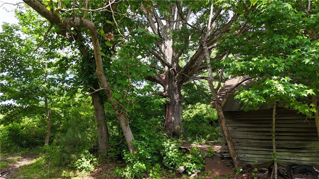 1 Melear Road Bowdon, GA 30108 - Photo 31 of 51