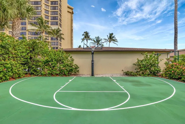 a view of a yard with plants and wooden fence