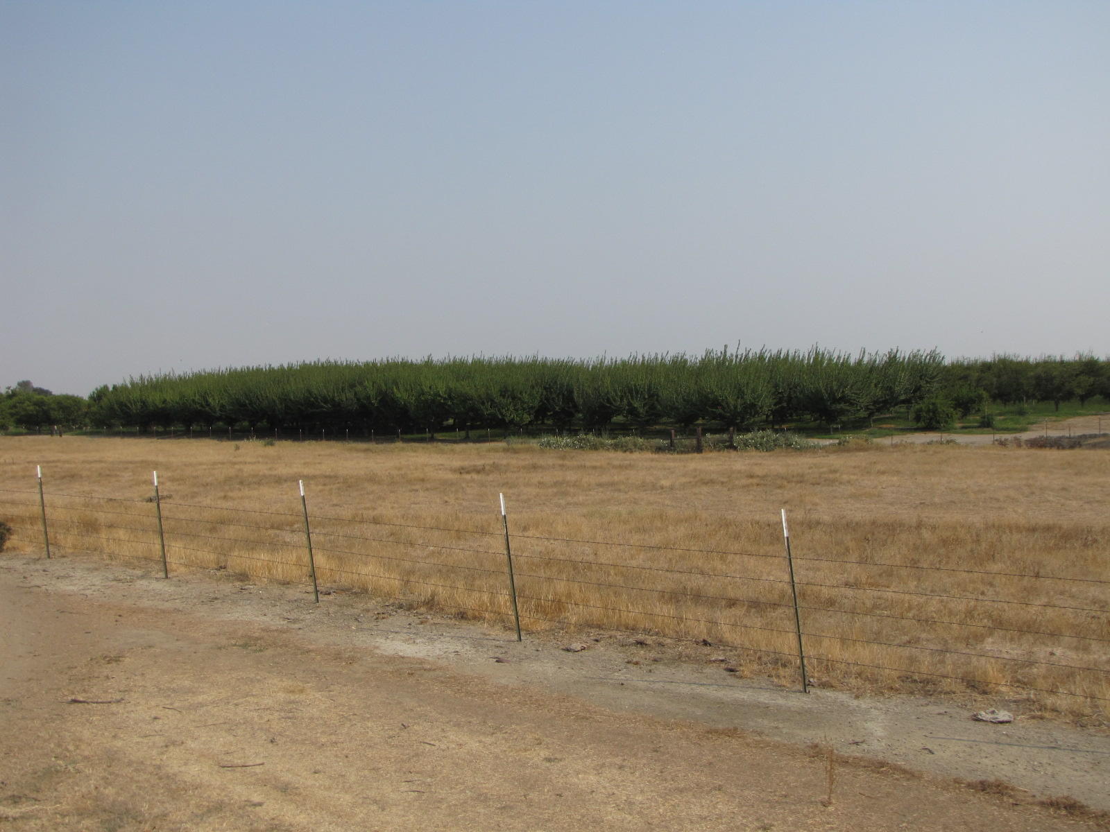 Orangewood Road Corning, CA 96021 - Photo 12 of 20 12 IMG_7436