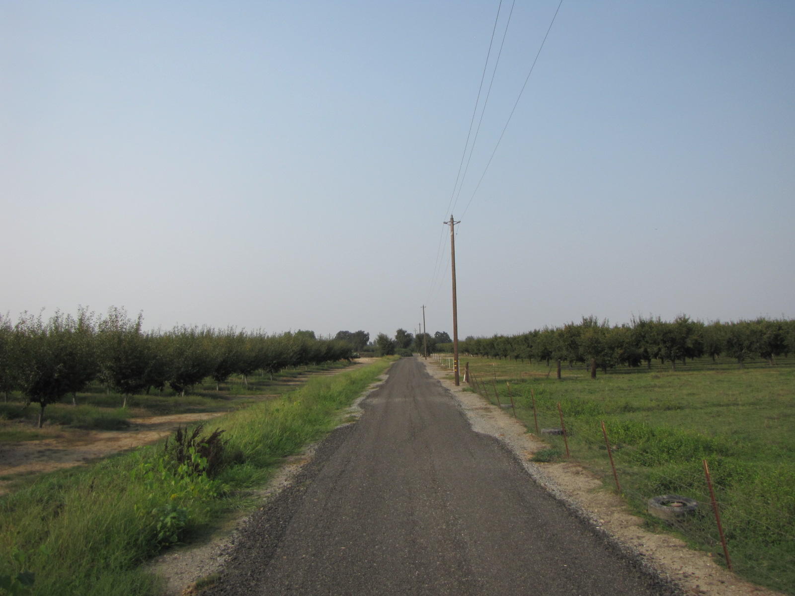 Orangewood Road Corning, CA 96021 - Photo 10 of 20 11 IMG_7453