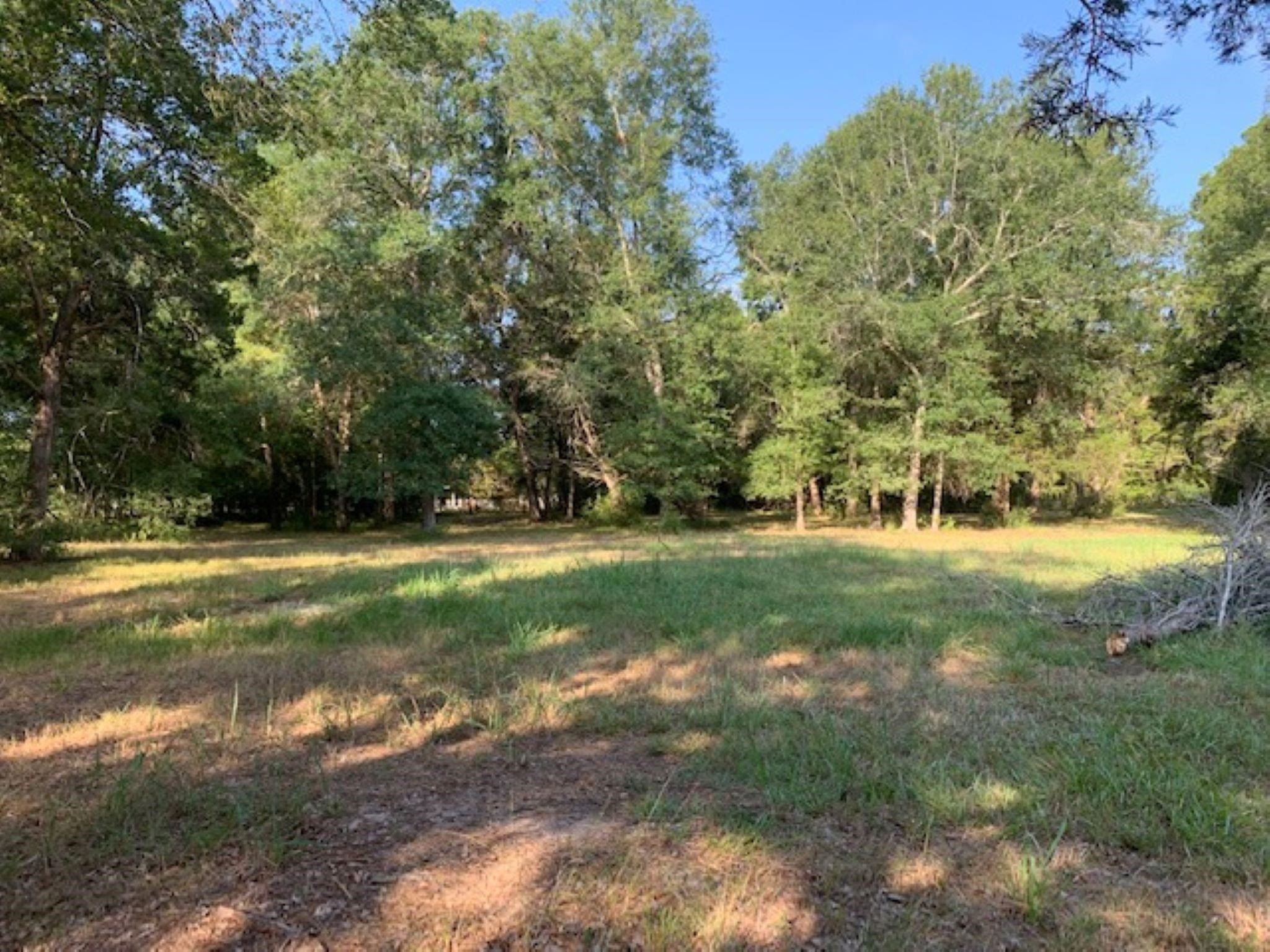 0 Kickapoo Road Hockley, TX 77447 - Photo 2 of 13 a view of yard with green space