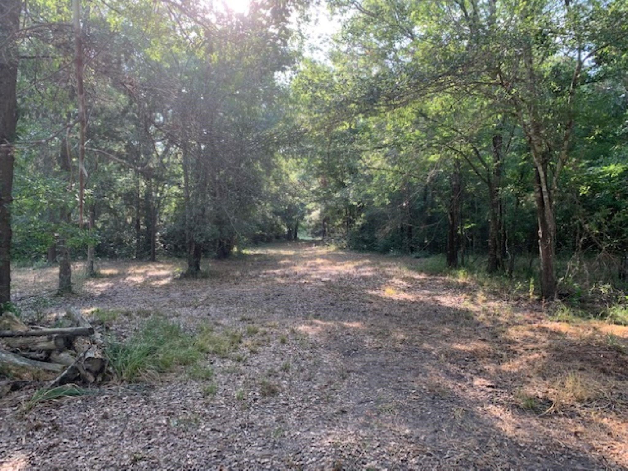0 Kickapoo Road Hockley, TX 77447 - Photo 4 of 13 a view of a forest with trees in the background