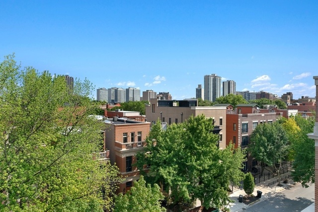 733 West Melrose Street, Unit 2 Chicago, IL 60657 - Photo 14 of 18 a view of a city