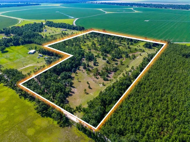 a view of a yard with wooden floor