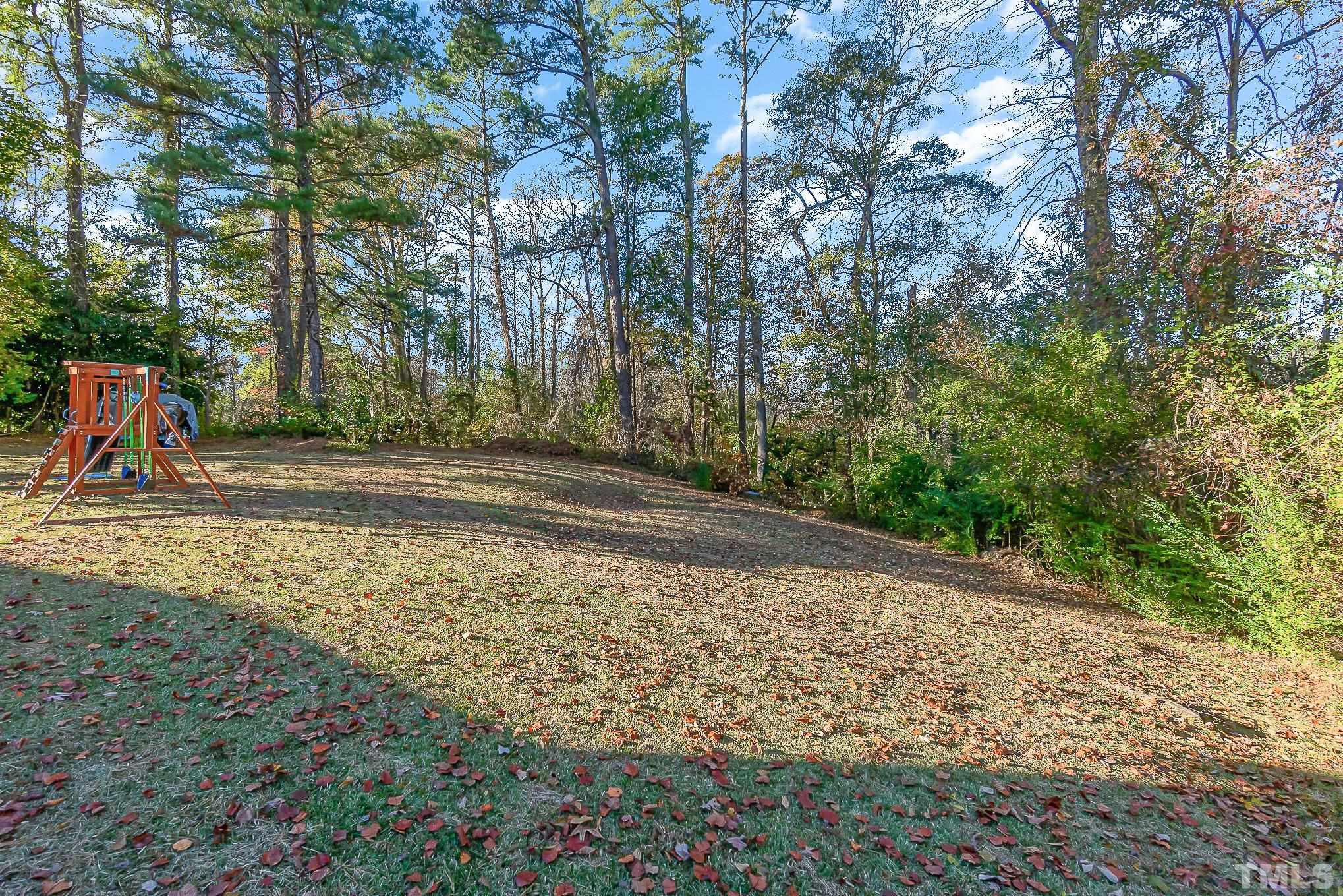 2904 Hodges Road Kinston, NC 28504 - Photo 27 of 29 a view of outdoor space with playground and green space
