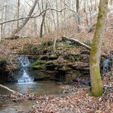 a view of outdoor space