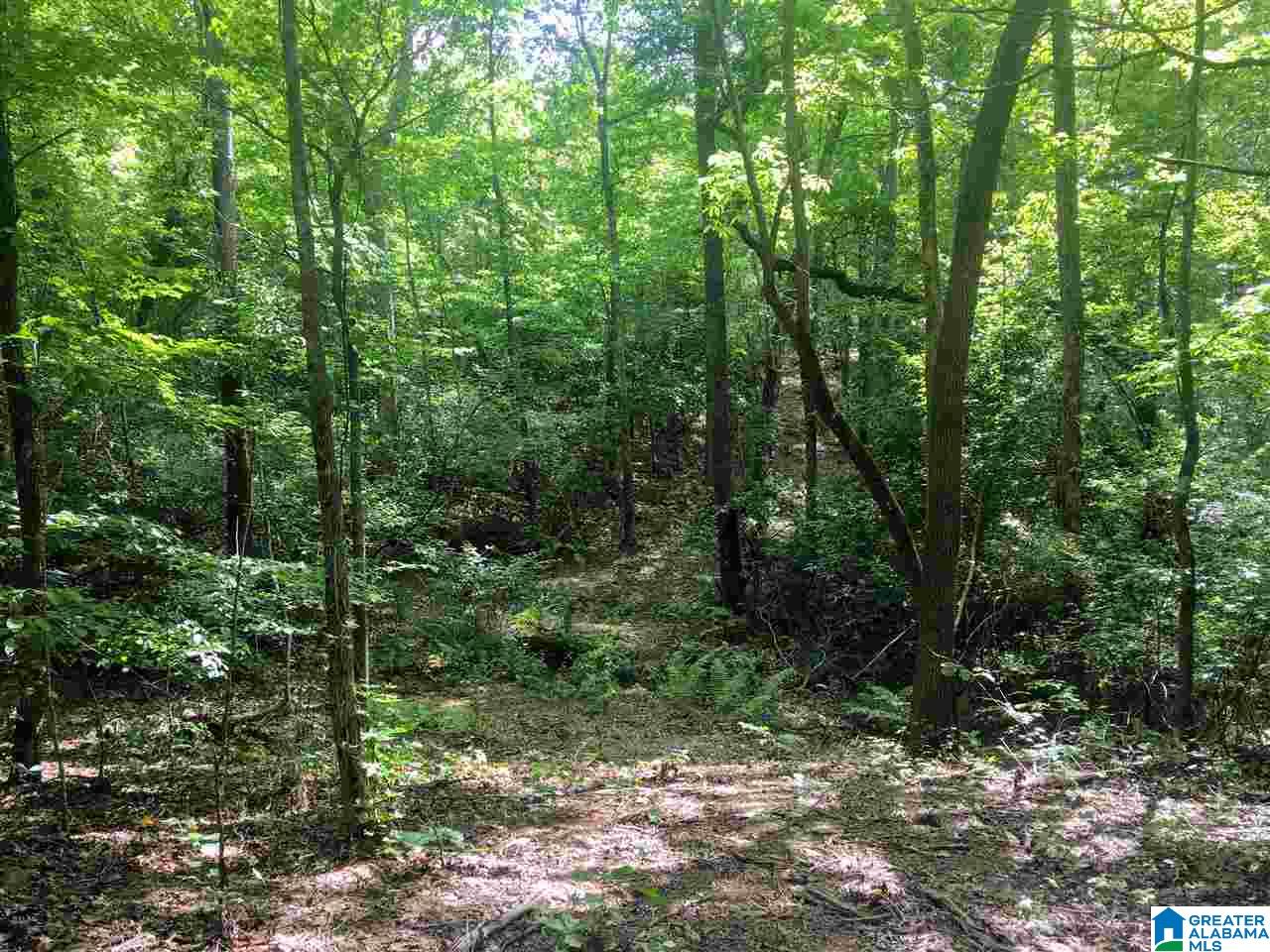 2565 Kentuck Road, Unit 4569 Oxford, AL 36203 - Photo 34 of 46