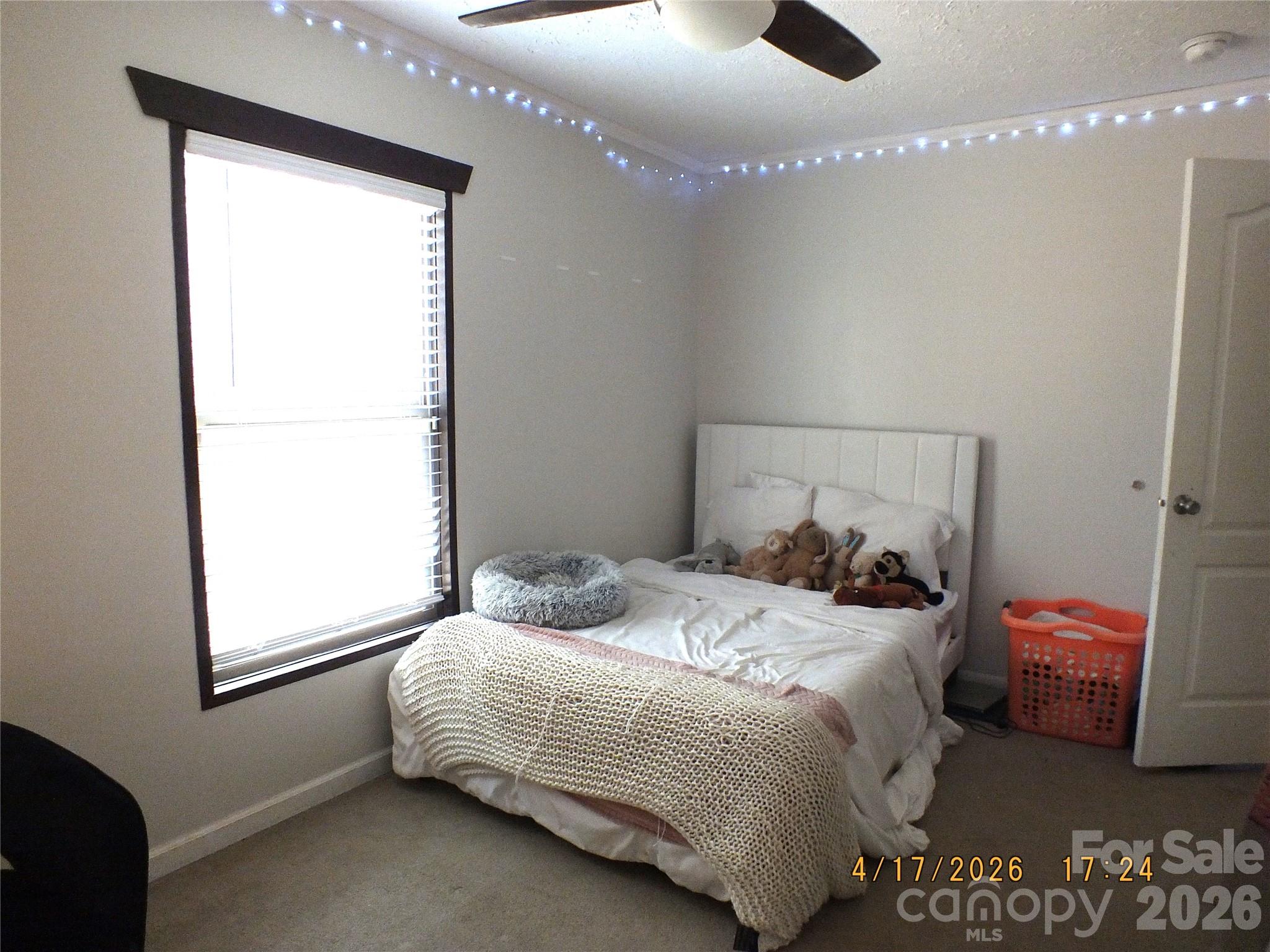 3202 Mt Prospect Road Chester, SC 29706 - Photo 19 of 25