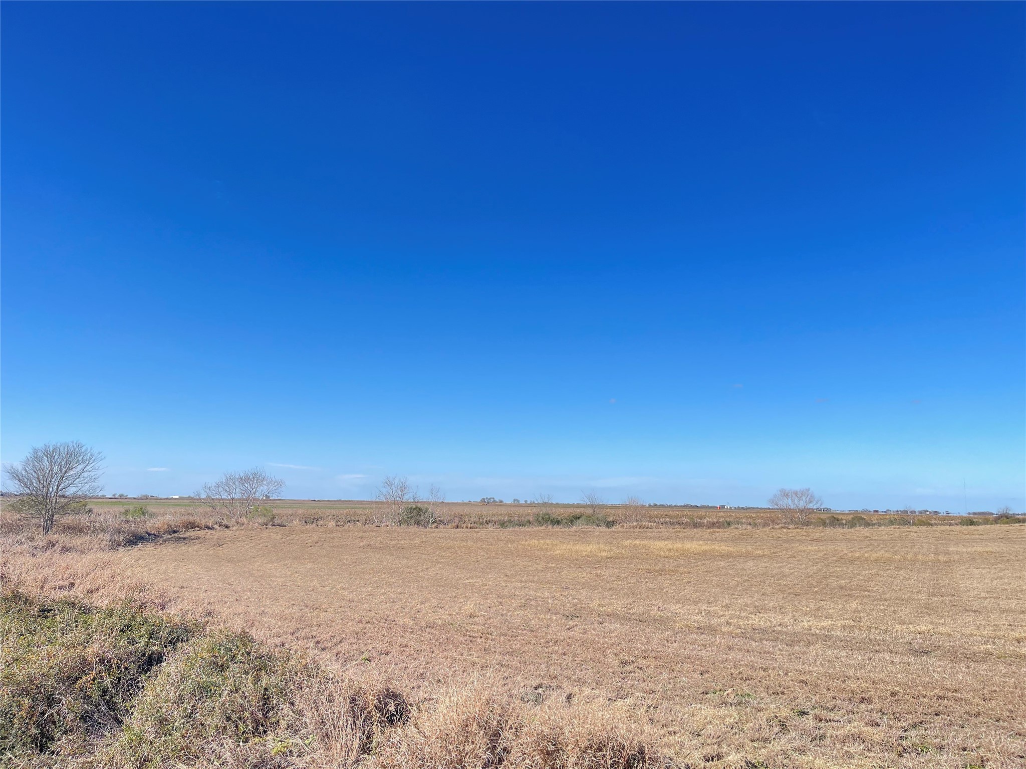 768 Million Dollar Road Palacios, TX 77465 - Photo 47 of 49