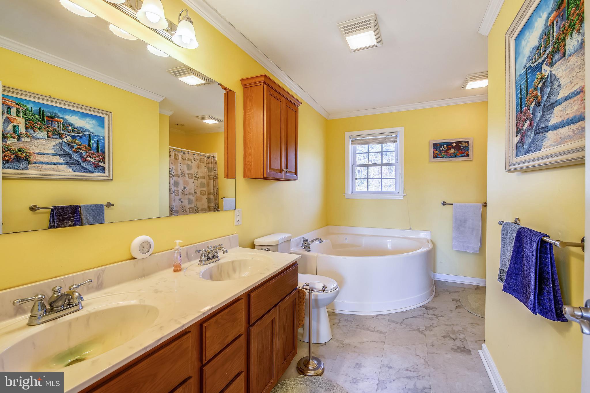 27972 Waller Road Salisbury, MD 21801 - Photo 19 of 36 1st floor master bathroom (shower around corner)