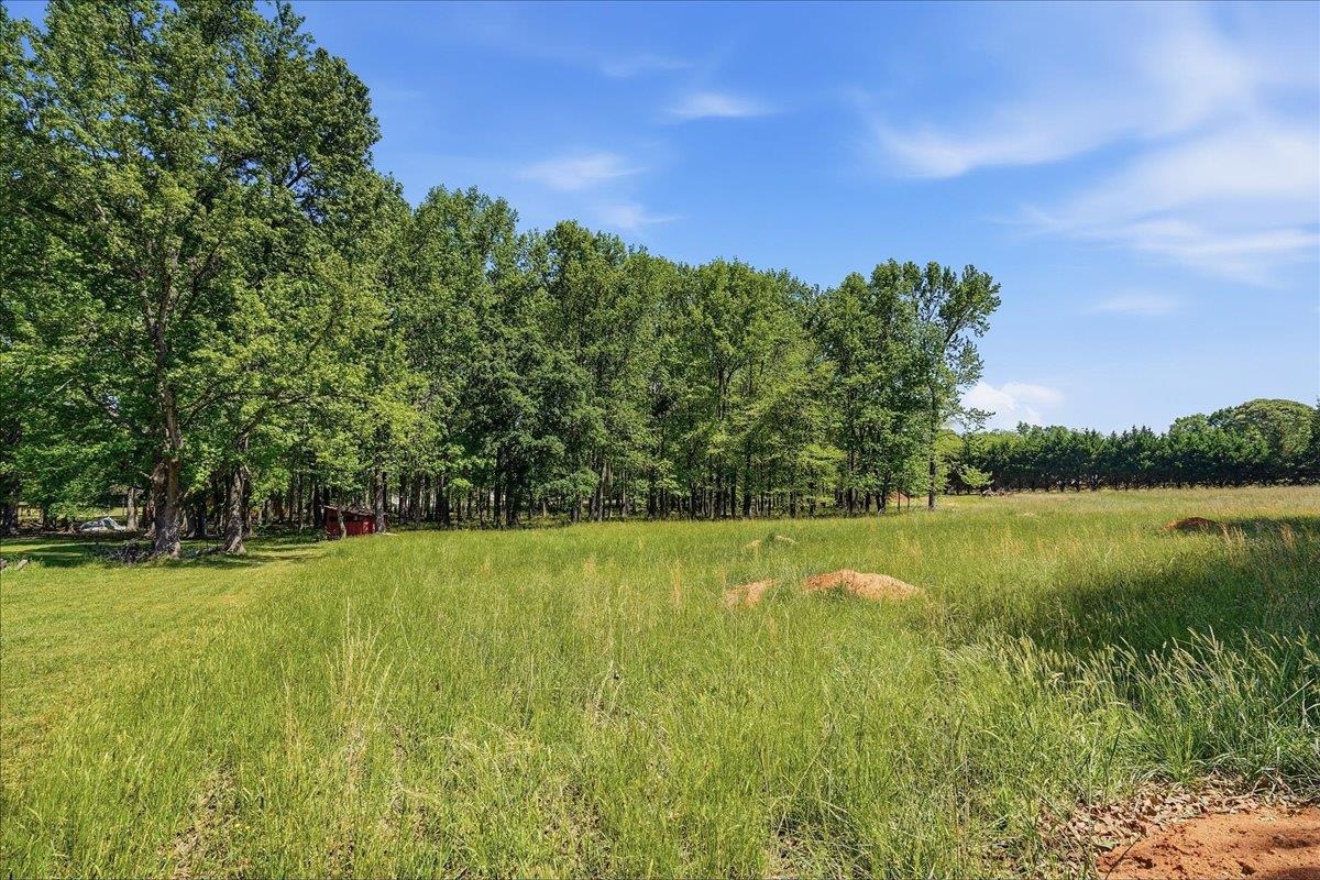 260 Wedgewood Inman, SC 29349 - Photo 31 of 36