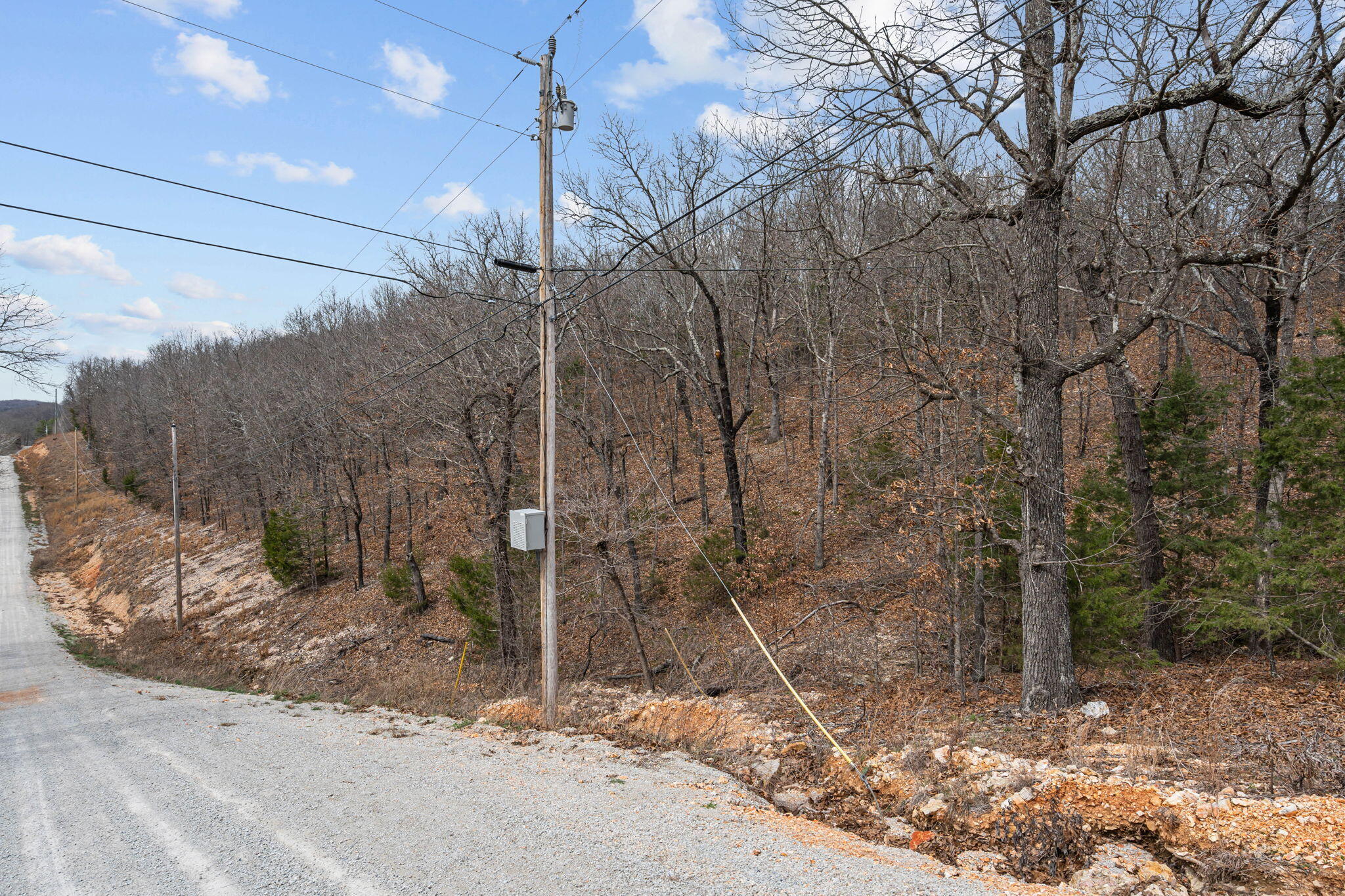 0 State Highway 86 Ridgedale, MO 65739 - Photo 18 of 30 18-web-or-mls-DSC00408