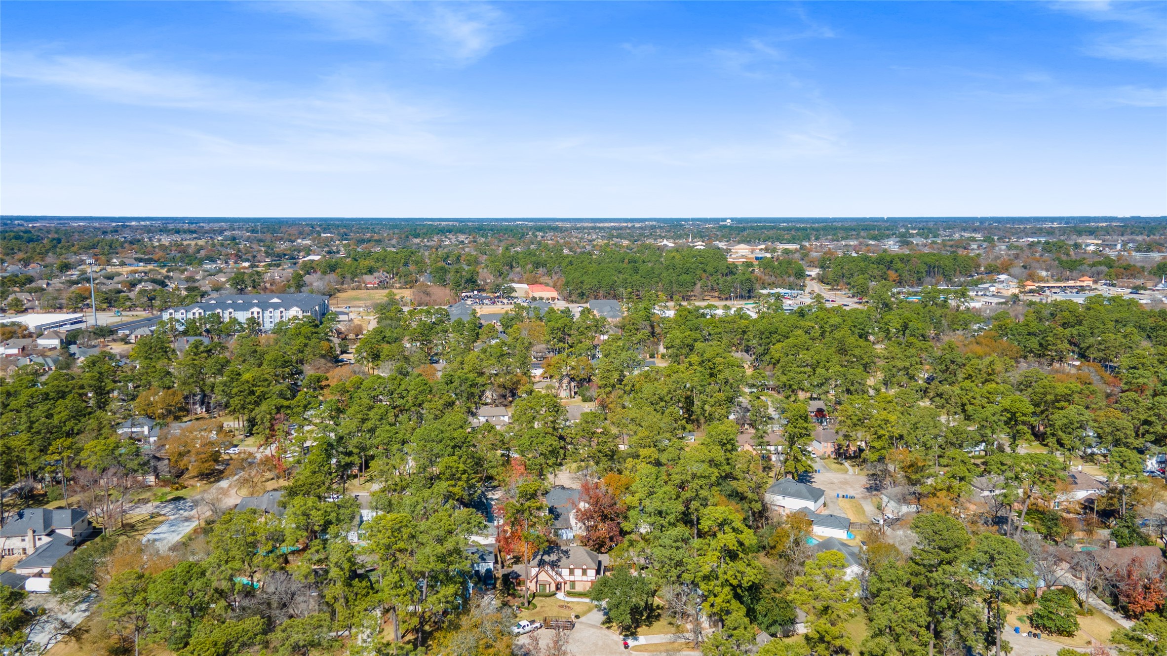 5411 Alamosa Lane Spring, TX 77379 - Photo 47 of 48