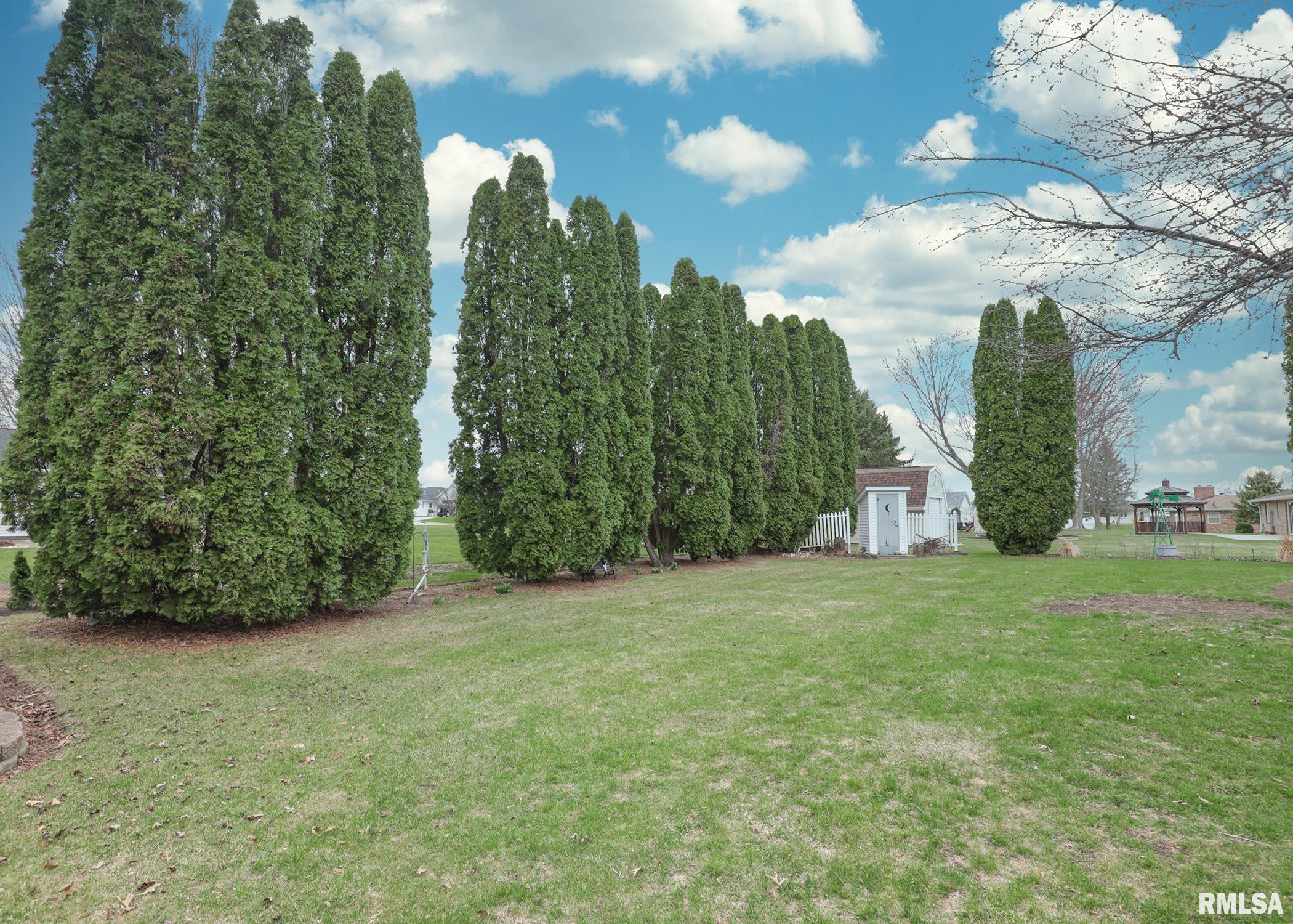 417 Margaret Street Atkinson, IL 61235 - Photo 9 of 46