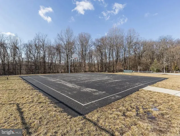 a view of a city with tall trees